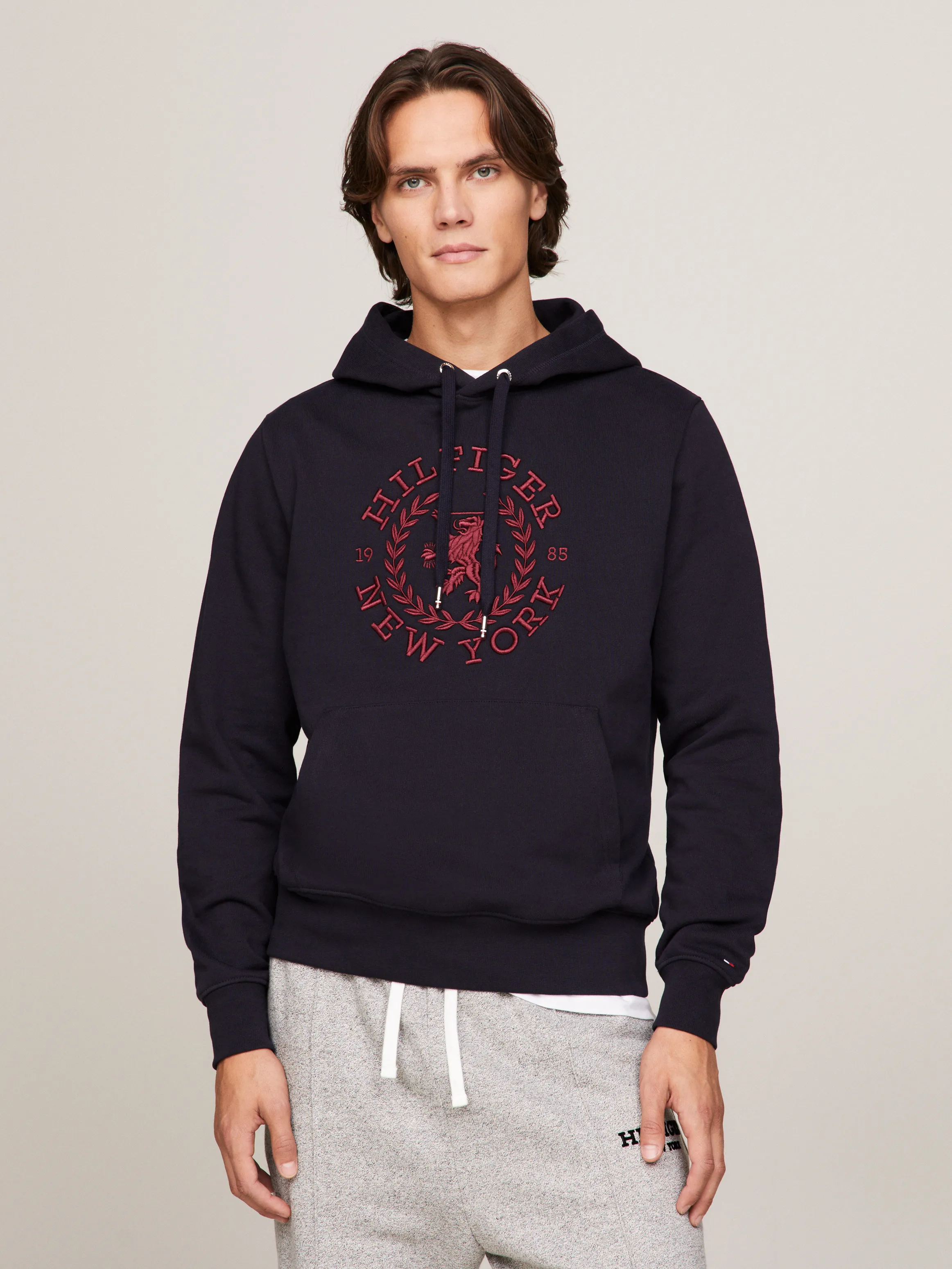 Big Icon Crest Hoodie | Sweatshirts & Hoodies | Tommy Hilfiger