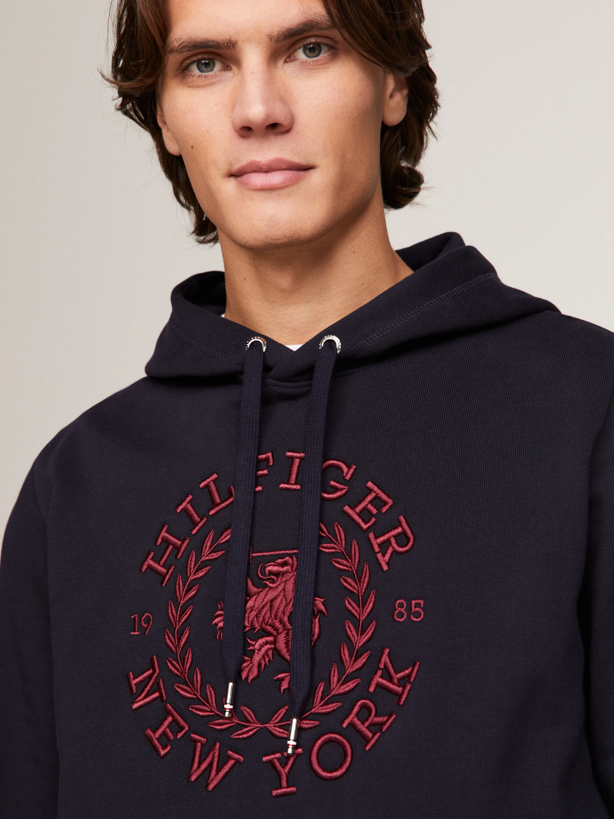 Big Icon Crest Hoodie | Sweatshirts & Hoodies | Tommy Hilfiger