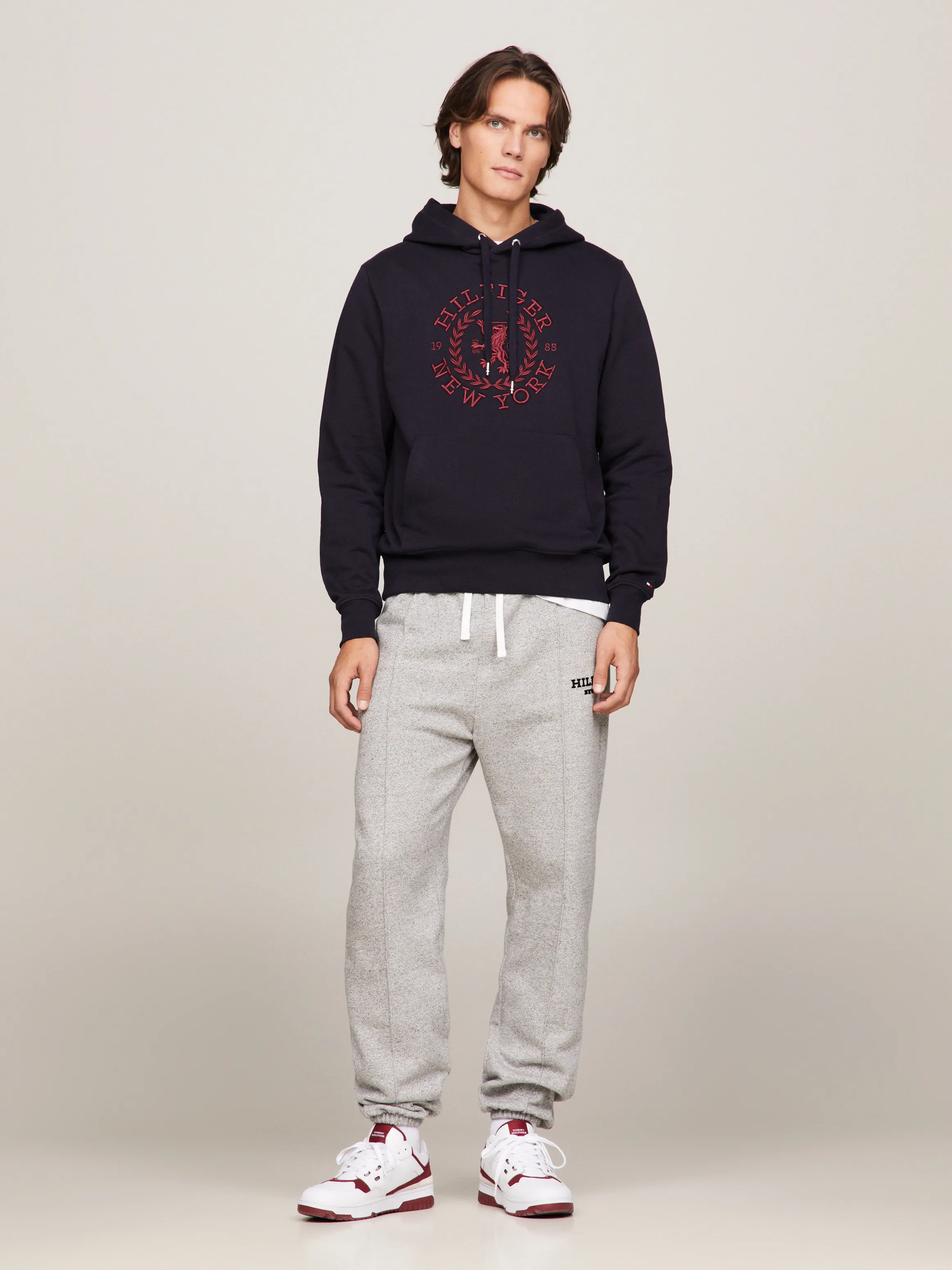 Big Icon Crest Hoodie | Sweatshirts & Hoodies | Tommy Hilfiger