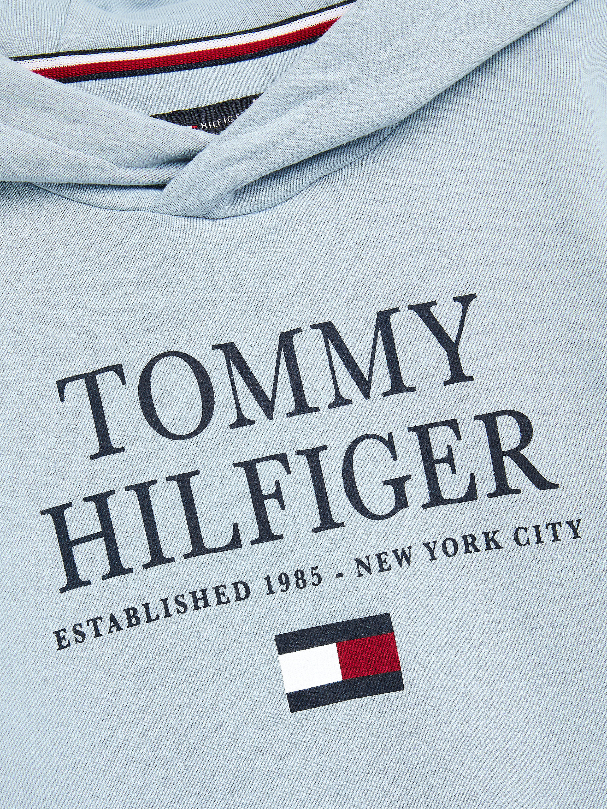 Boys 8-16 Organic Cotton Hoodie | Hoodies | Tommy Hilfiger