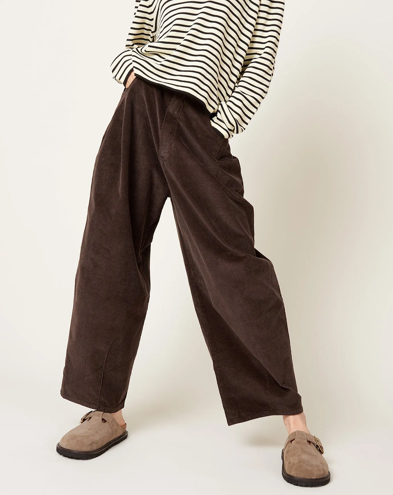 Corduroy Baggy Pants in Brown