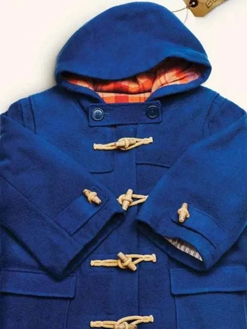 Paddington  Blue Coat